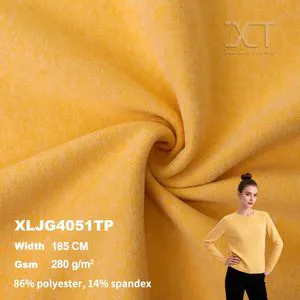 Double-Layer Thermal Top Shirt Sleepwear Polyester Spandex Wool Cashmere Textile Knit Fabric
---procurement customization--(https://www.xinlangtextile.com/)