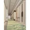 80% Wool 20% Nylon Carpet for Hotel Corridor Wall to Wall Carpets Theater