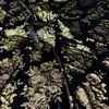 Luxurious Gold Foil Printed Velvet Fabric 82% Rayon 18% Nylon Shimmering Floral Pattern for High-End Abaya and Modest Fashion