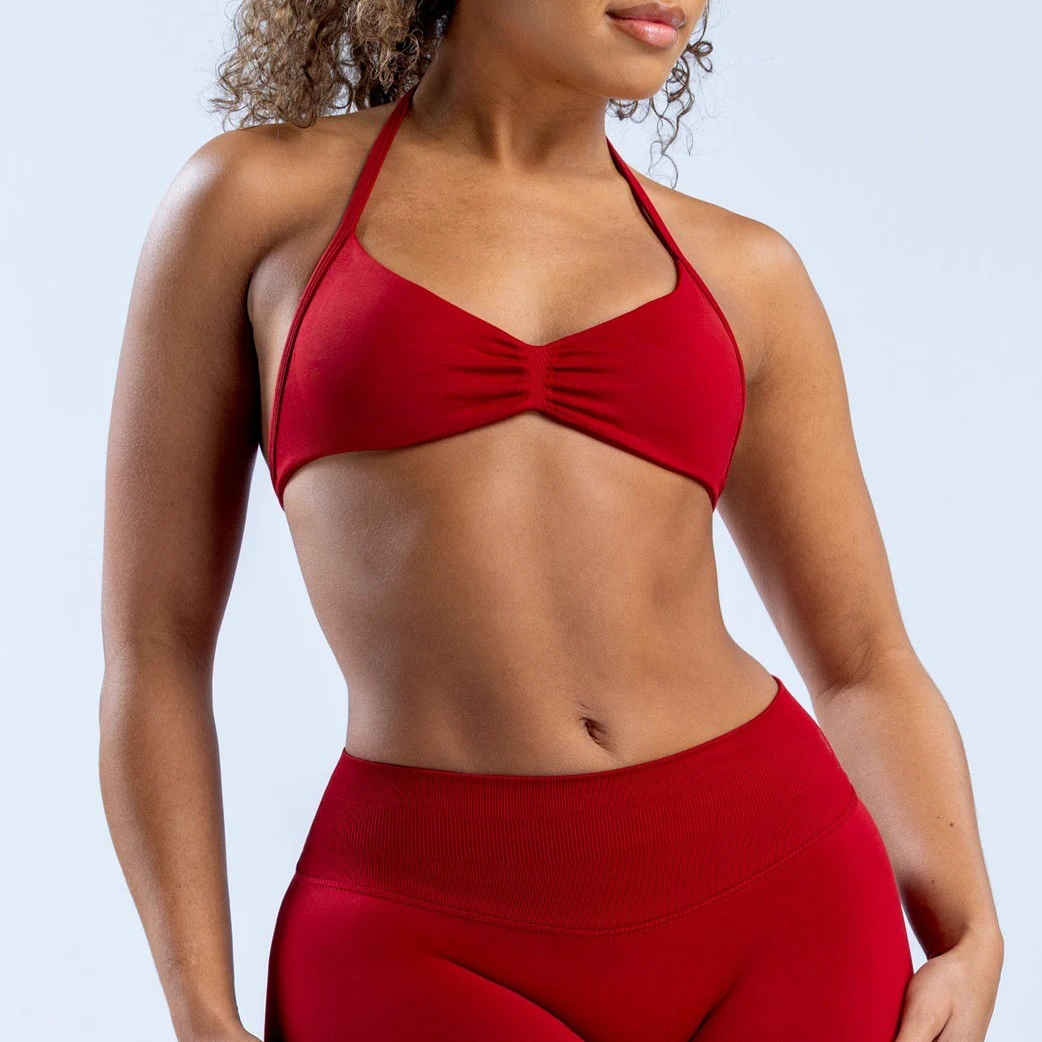New Arrival Ultra-Fine Nylon Halter High-Elastic Beautiful Back Seamless Fitness Sports Bra for Yoga