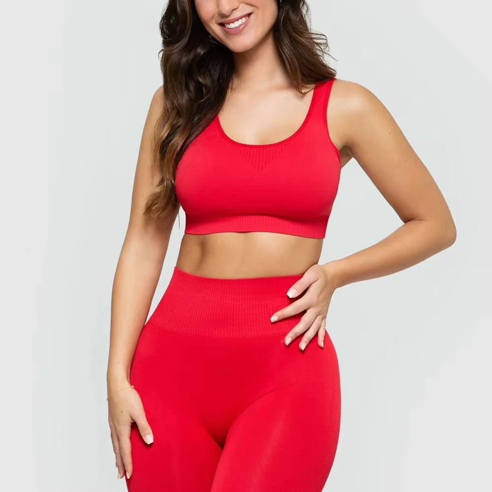 Hot Selling Custom Elastic Waist Seamless Breathable Two Piece Women Yoga Set for Gym Fitness Workout