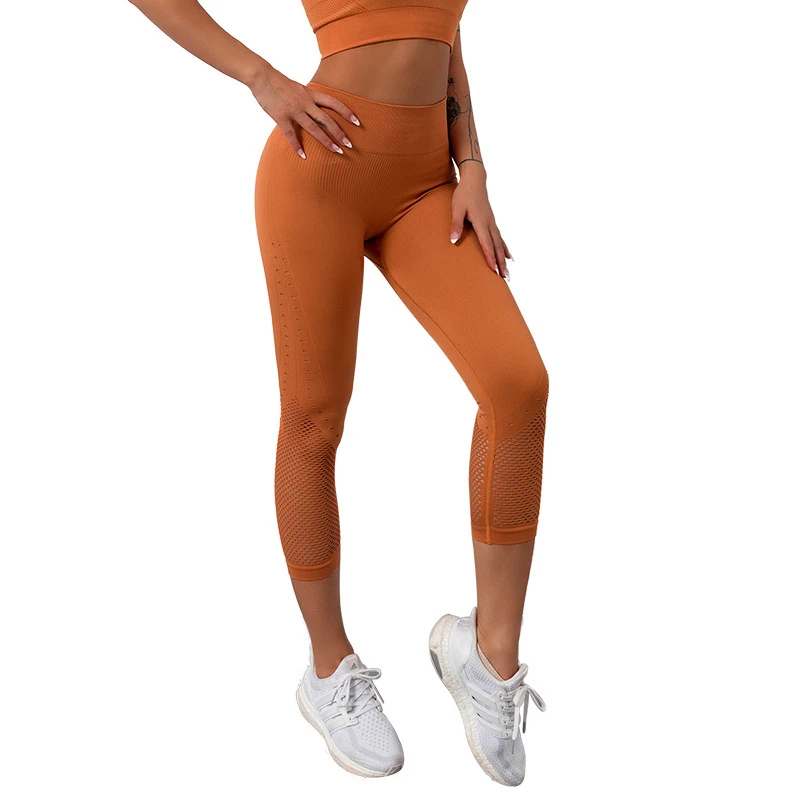 2022 Summer Women's High Waist Cropped Yoga Pants Breathable Mesh Seamless Tight Eco-Friendly Four-Way Stretch Lightweight Solid