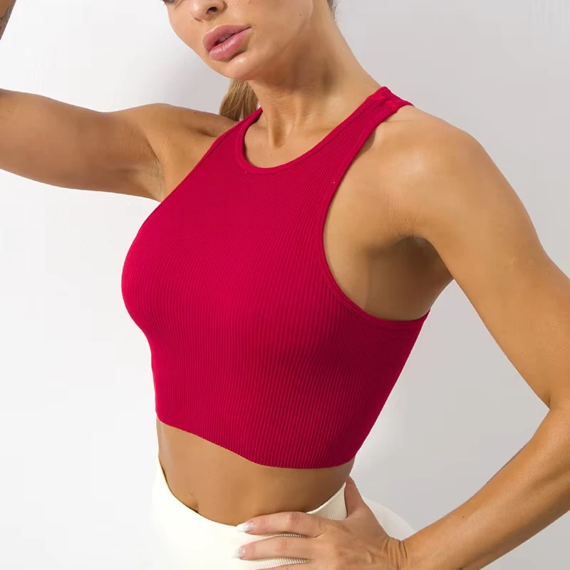 Women's Halter Neck Yoga Sports Bra Breathable Quick Dry Seamless Spandex/Nylon Medium Support Fitness Top