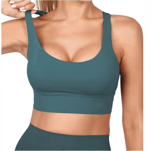 Seamless Women Sports Bra Yoga Fitness Gym Workout Top Padded Shockproof Activewear Comfortable Running Training Wear