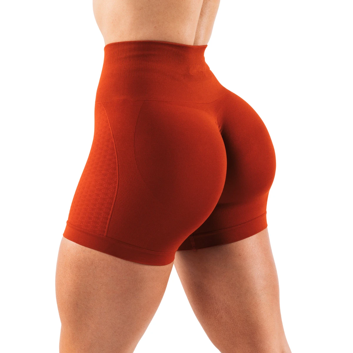 Women Activewear Yoga Shorts High Waist Stretch Gym Running Fitness Workout Shorts Soft Fabric Breathable Quick Dry