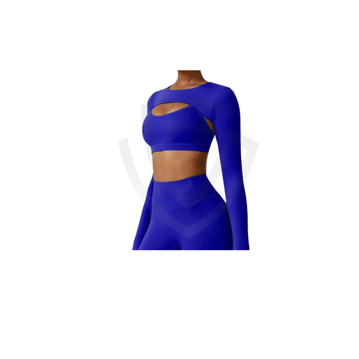 2-Piece Women's High Quality Gym Sportswear Set Elastic Waist Shorts Sports Bra Crop Tank Solid Pattern Front Logo