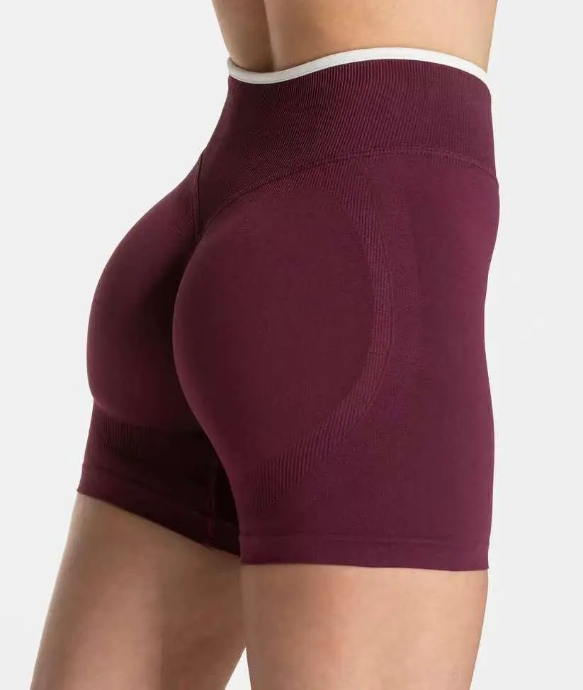 2025 New Spandex/Nylon Seamless High Waist Sweat-Wicking Four-Way Stretch Breathable Quick Dry Anti-Odor Women's Yoga Shorts