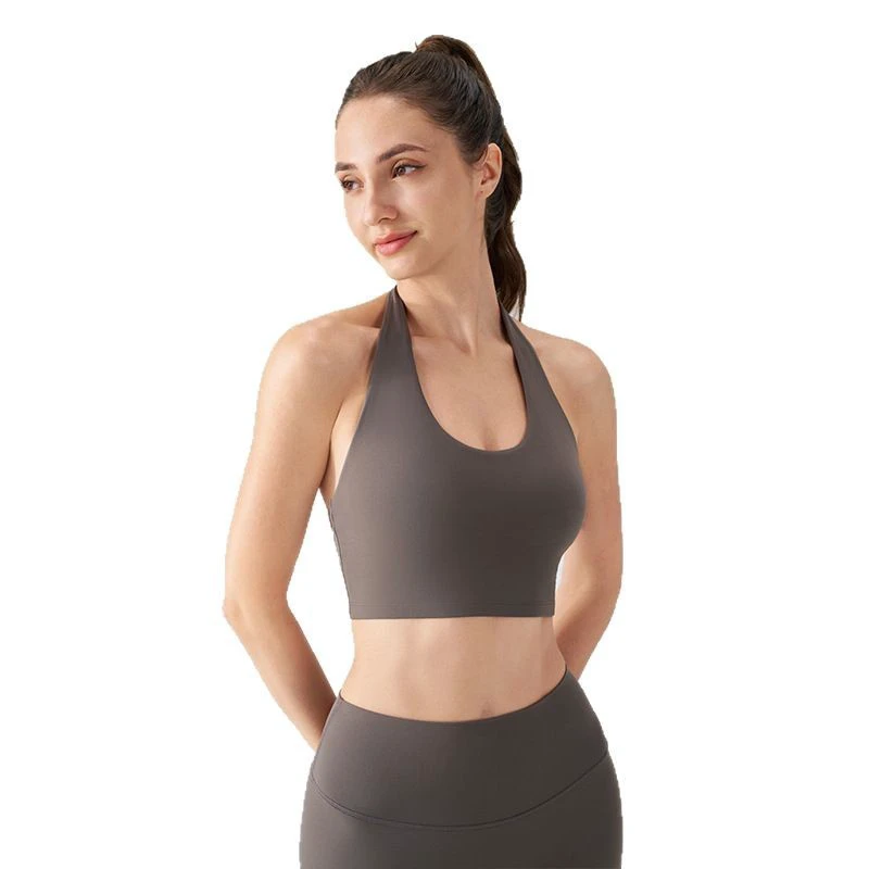 High Support Yoga Sports Bra Women's Halter Neck Spandex/Nylon Solid Pattern Shockproof 3XL Active Wear Gym