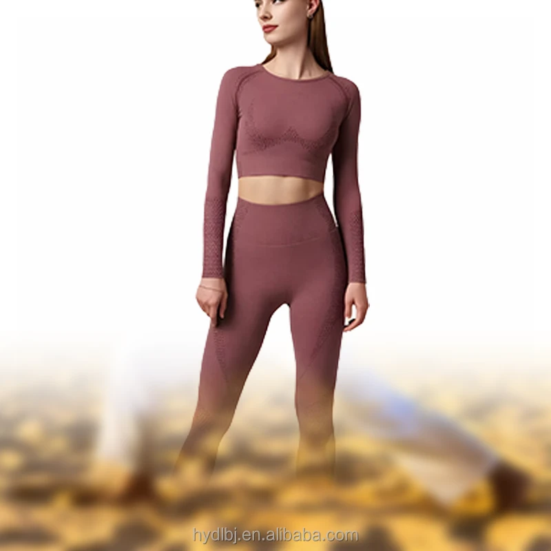 OEM Custom Slim Fit Seamless Solid Breathable Moisture Wicking High Stretchy Women's Fitness Two Piece Yoga Sports Suit Set