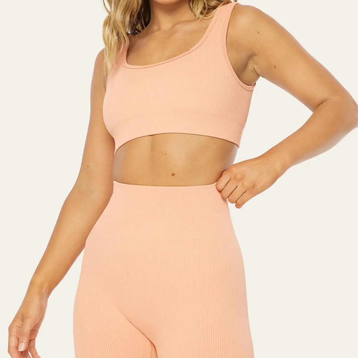 Women's Solid Sports Bra and Shorts Set Lightweight Seamless Spandex/Cotton Gym Yoga Activewear 2-Piece Anti-Pilling Wholesale