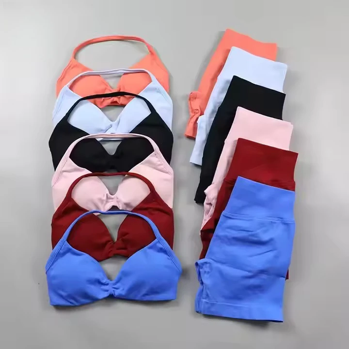 Women's 2-Piece Sports Wear Set Pleated Seamless Fitness Shorts with Adjustable Straps Breathable & Waterproof Sports Bra