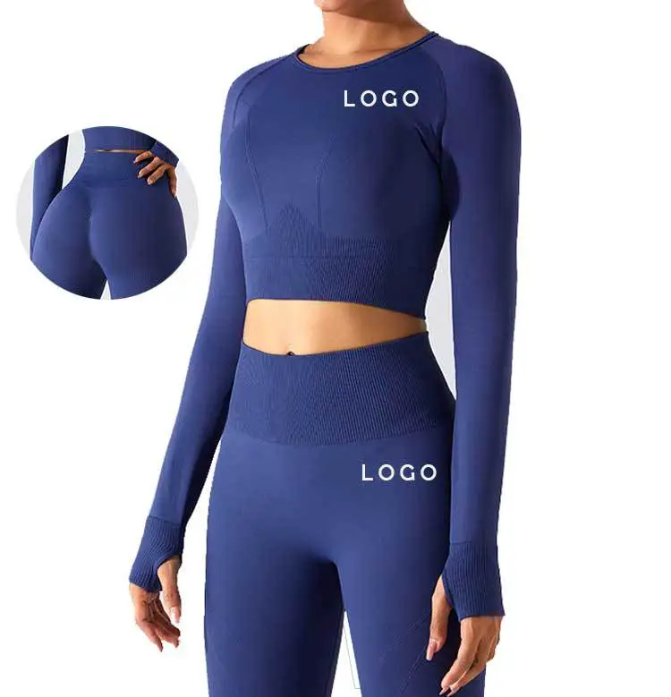 Custom Fitness Yoga Wear Seamless 2.0 Cloud Gym Workout Shirts Compression Sports Top Long Sleeve Crop Top for Women