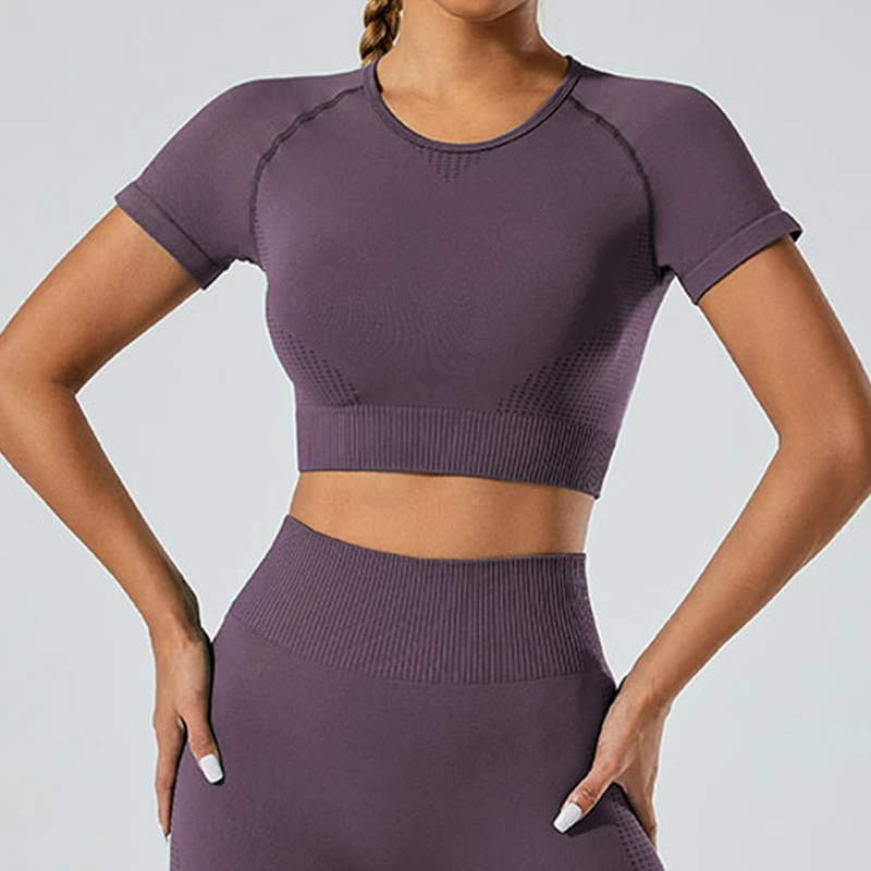 Gym Quick Dry Seamless Breathable Women's Fitness Yoga Top Tight Short Sleeve Active Wear
