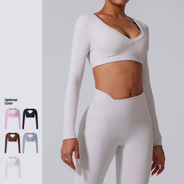 Tight Deep-v Neck Yoga Long Sleeve Crop Tops for Women Backless Hollow-out Yoga Tops for Women Sexy Wholesale Fitness Sports Top