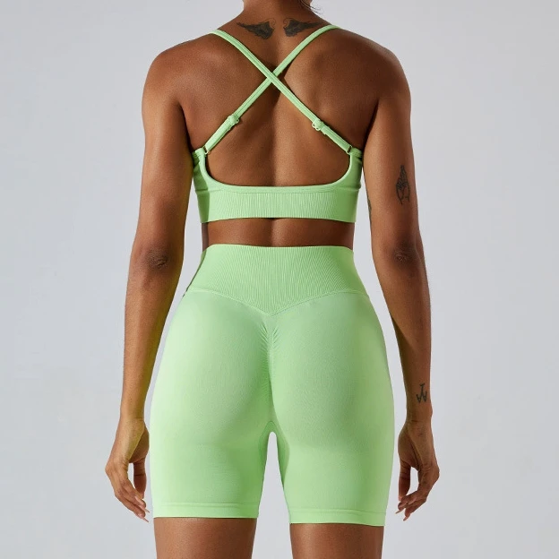Fitness Apparel Seamless Clothing Active Wear Yoga Shorts and Sexy Sports Bra Wholesale Women Yoga Set
