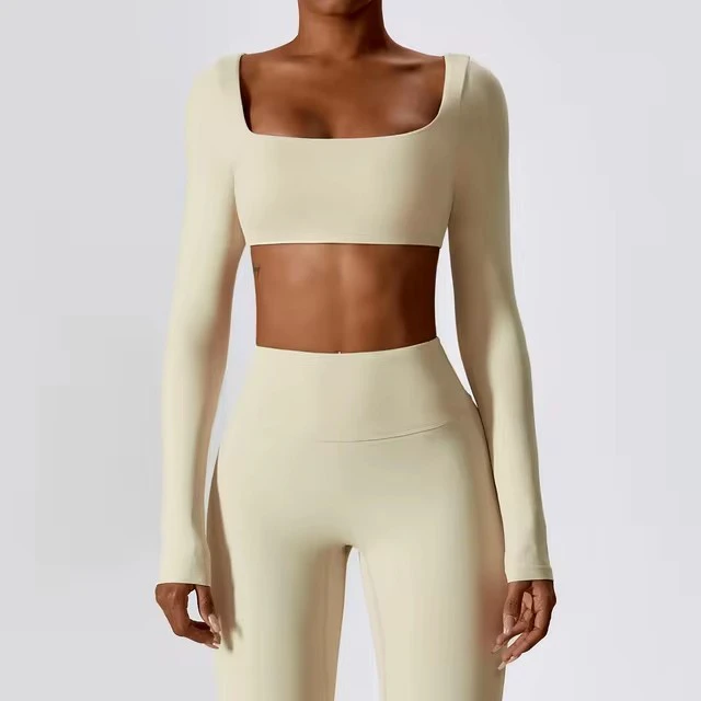 Women's High Quality Long Sleeved Yoga & Outdoor Sports Top Quick-Drying Fitness Clothing With Seamless Design Wholesale Sets