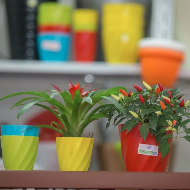 Supplying Small Mini Plastic Flower Pot Putting Window Office Desk for Decorating Rooms in House Office in Bulk
