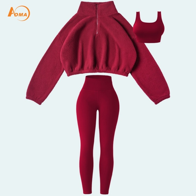 Sports Wear New Quick Dry Sportswear Leggings Bra Set Without Pads Warm Pullover Long Sleeve Tracksuits 3pcs Yoga Set