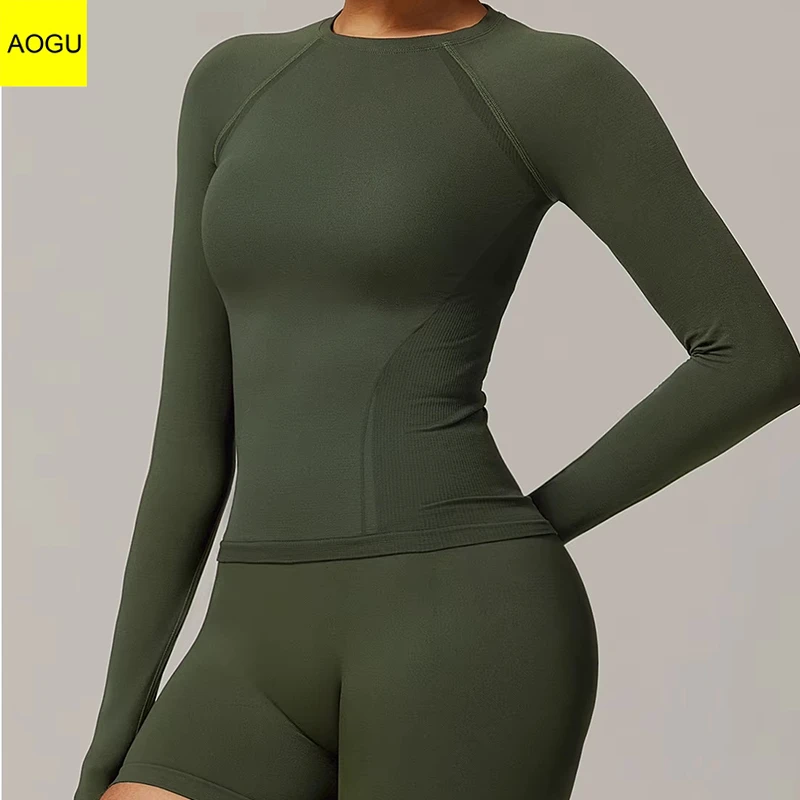 Hot Sales OEM Workout Wear Round Neck Quick Dying Solid Color Long Sleeve Yoga Top for Women