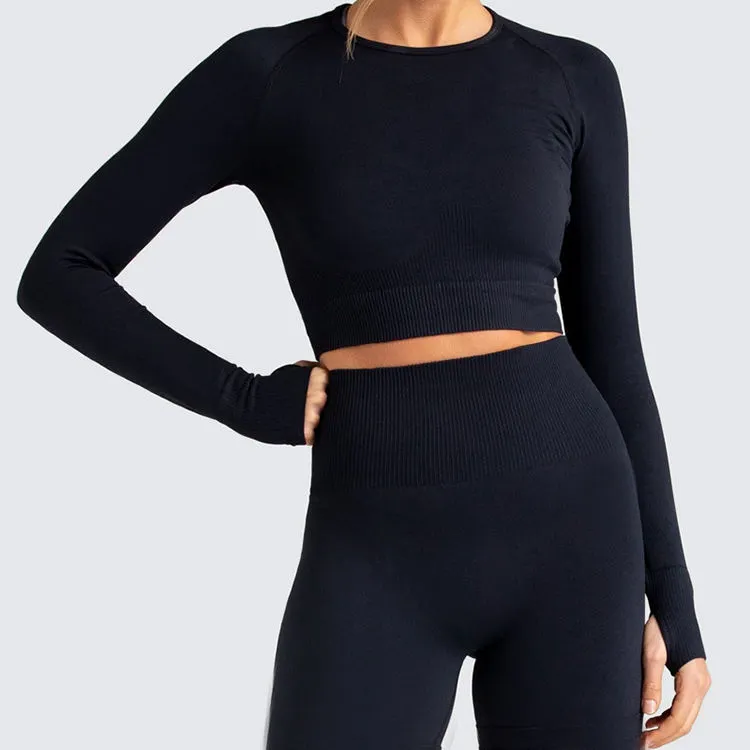 Wholesale Fall Winter Seamless Sport Tops Causal Long Sleeve Crop Top Elastic Yoga Top for Women