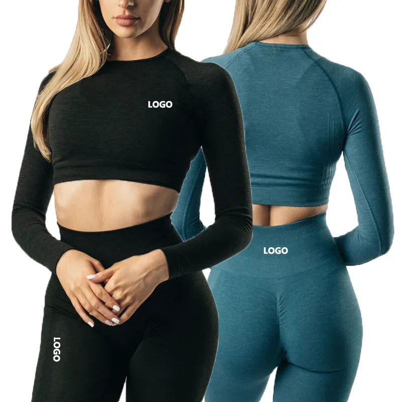 Wholesale Custom Logo Soft Long Sleeve Crop Top Shorts Yoga Active Wear Sets Women Seamless Gym Fitness Sets