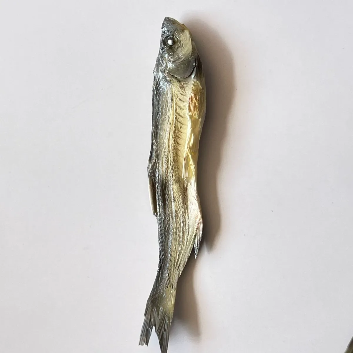 Lifelike Fake Fish Replica Dried Smoked Seafood Display Model for Restaurant Training Fish Market Counter and Shop Window Decor
