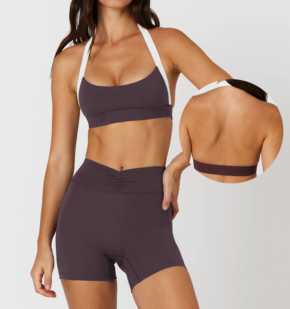 Halter Neck Sports Bra and V Waist Shorts Set 2 Piece Yoga Outfit Backless Fitness Gym Wear Workout Clothing for Women