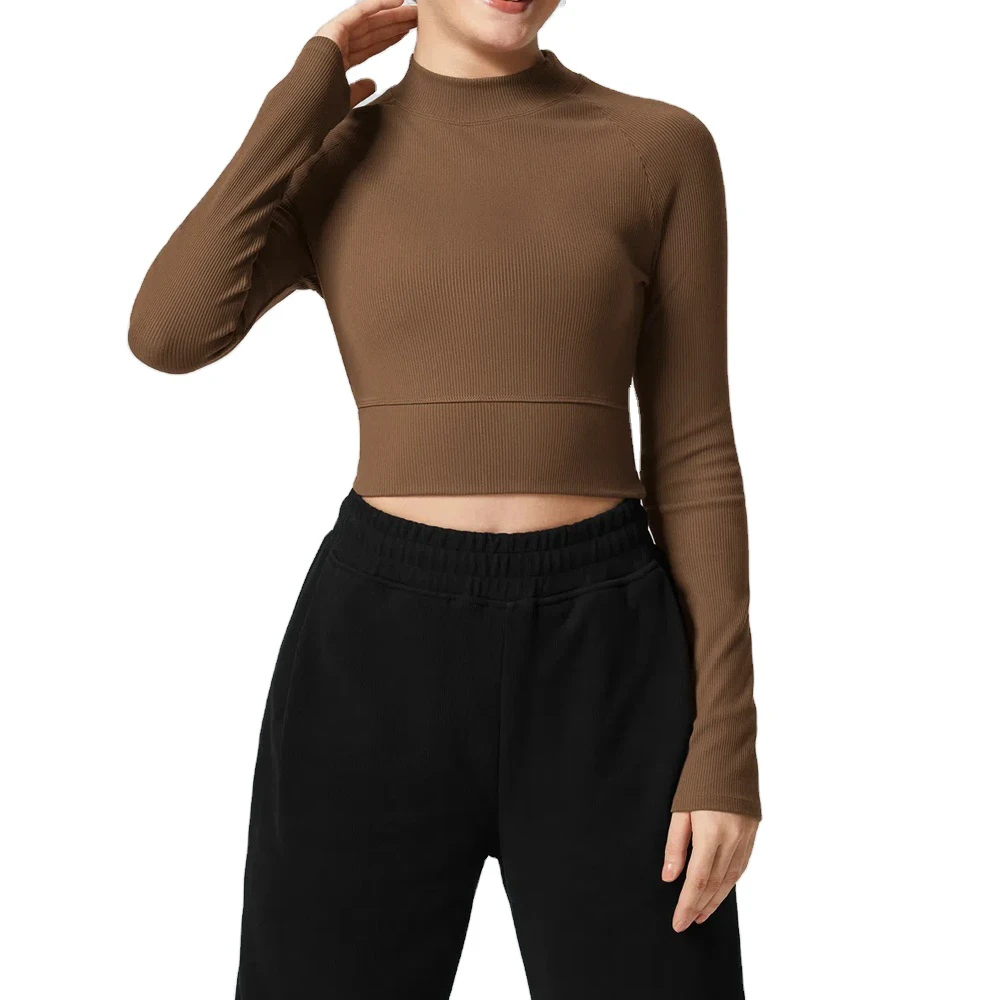 Women's Seamless Half Sleeve Yoga Top Spandex Quick Dry Fitness Wear Autumn Winter Running Wholesale Available Plus Size