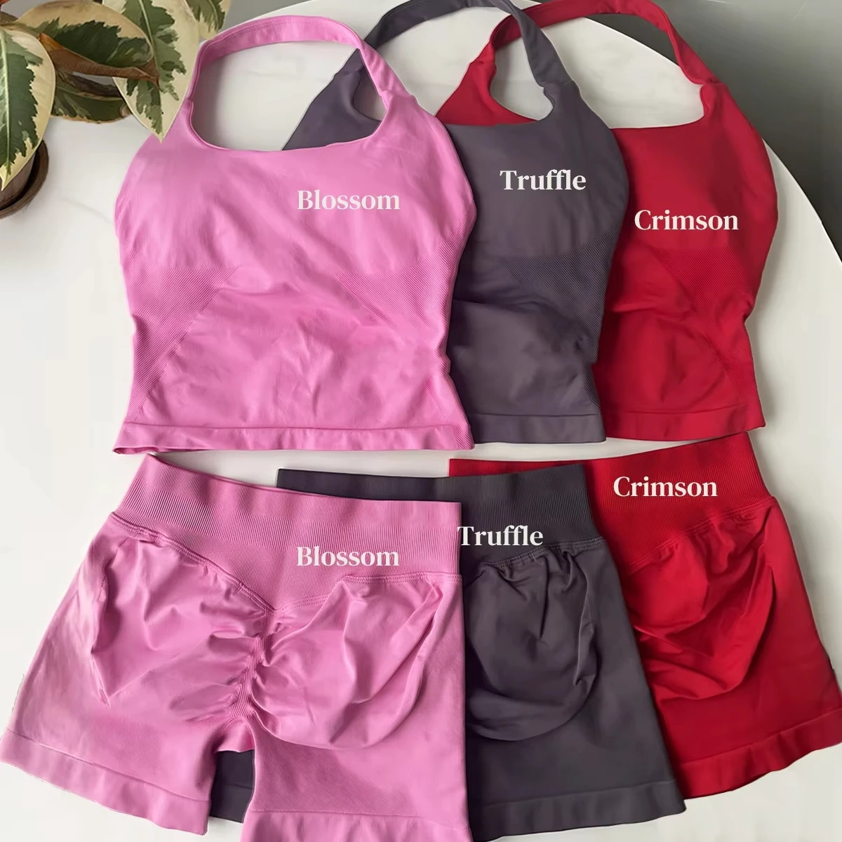 2 Pieces Halter Top Gym Set Workout Clothes Shorts Sets Seamless Scrunch Shorts Yoga Set