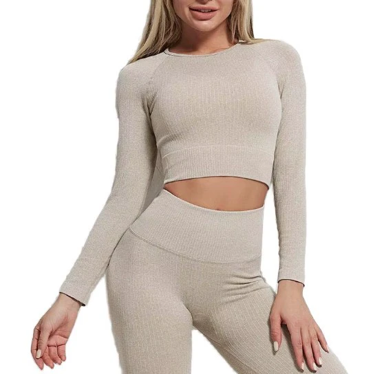 Fitness 2026 Plus Size Waterproof Breathable Stretch Quick-drying High-waisted Hip Lift Outdoor Running Long Sleeve Yoga Set