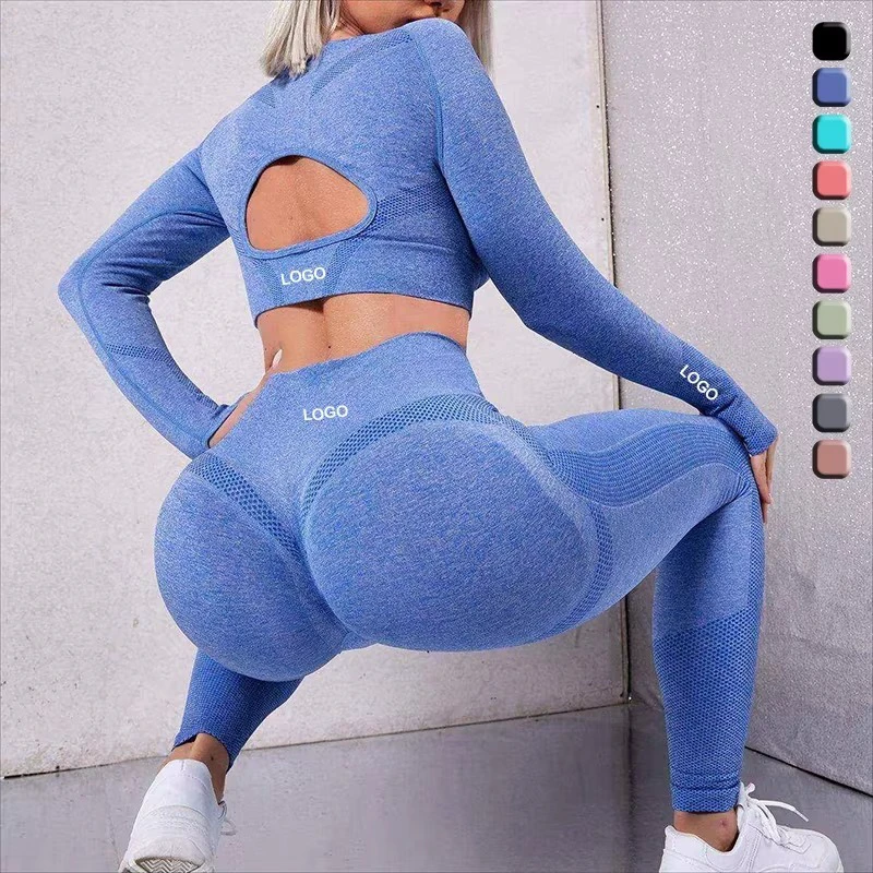 New Seamless Workout Set Women Activewear Two Piece Set Long Sleeve Shirts Leggings Yoga Suit