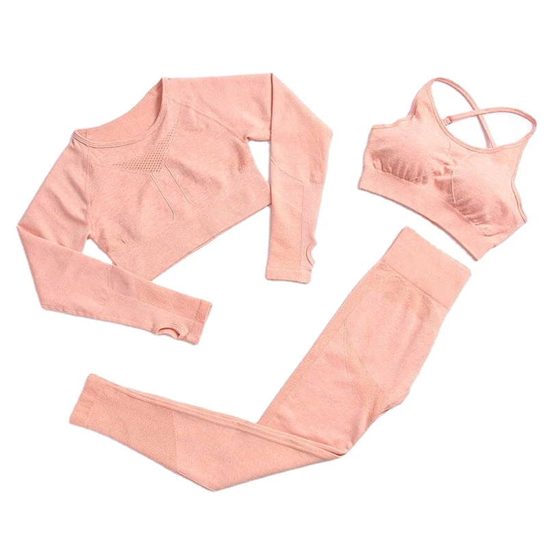 Customer Logo Women's Solid 2 Piece Seamless Breathable Yoga Activewear Set Purple Long Sleeve Workout Fitness Sport Suit