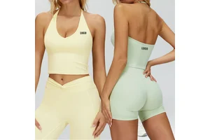 Factory Direct Sale Halter Neck Women Sports Bra Tight Yoga Vest Quick-Drying Fitness Running Sports Backless Yoga Bra