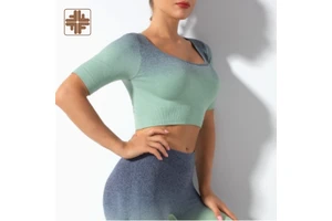 Four-Way Stretch Long Sleeve Yoga Gym Women Yoga Crop Top Set