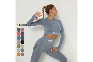 Seamless 14-Color Women's Skinny Fit Workout Activewear Long Sleeves Yoga Top Spandex/Nylon Breathable Anti-Bacterial