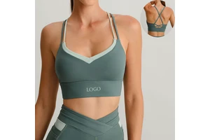 OEM Custom Manufacturers Color Block V Neckline Strappy Cross Back Double Layered Sports Bra for Women