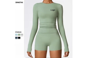 Women's High Quality Quick-Drying Fitness Apparel Outdoor Running Activewear Tight Yoga Longsleeve Top