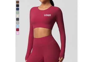 Long Sleeve Gym Wholesale Workout Slim Sportswear Round Neck Corset Quick Dry Fitness Women Yoga Crop Top