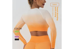 Alpha's New Autumn/Winter Seamless Spandex/Nylon Sports Yoga T-Shirt for Women Long-Sleeved Gradient Design Tight-Fitting Nude