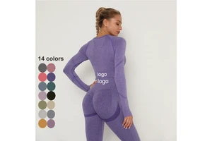 OEM ODM Breathable Fitness Gym Yoga Top Spandex Solid Print Style Seamless Workout Activewear Long Sleeves Adults Skinny Fit