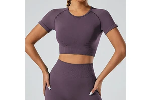 Gym Quick Dry Seamless Breathable Women's Fitness Yoga Top Tight Short Sleeve Active Wear