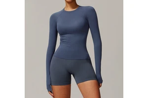 Women's Wholesale Round Neck Long Sleeve Skinny Seamless Yoga T-shirt New Style Four Way Stretch Slim Fit Gym Shirts 2025