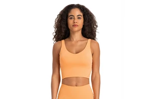 2024 Sexy Back Fitness Quick Dry Yoga Top Breathable Running V Neck Bra Top