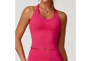Cross Beautiful Back Yoga Vest Women Brushed Tight Top Outdoor Fitness Sports Bra Halter High Support Quick Dry Spandex/Nylon