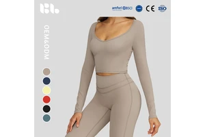 Cross-border Brushed Quick-drying Long-sleeved Women's Yoga Clothes Outdoor Running Sports T-shirt Spandex/Nylon Top