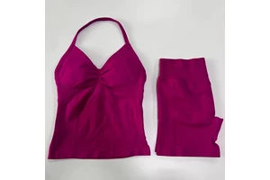 High Elastic Women's Yoga Sports Top Gym Bra Quick Dry Adjustable Halter Workout Seamless Sports Bra 3 Pieces to 5 Pieces