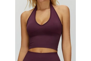 Four-Way Stretch Seamless High Support Shockproof Women's Halter Neck Open Back Sports Yoga Top with Removable Pads