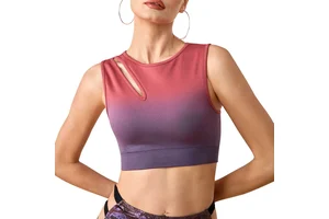 New Arrival Yoga Sports Bra Gradient Color Hollow Out High Support Shock Proof Seamless Sports Women's Tank Top