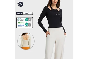 Winter Plush Long-Sleeve Yoga Activewear High-Intensity Fitness Apparel for Pilates Running Sporty Long-Sleeve Top