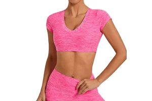 Women's Lightweight Breathable Spandex Brushed Tight Yoga Sports Short Sleeve Top Summer Fashion
